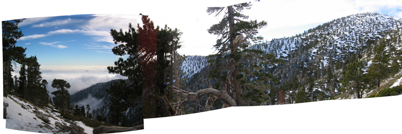 click image for 1 megabyte size: 400 feet from the 10,000-feet summit of Mount San Antonio, in the Angeles and San Bernardino National Forest