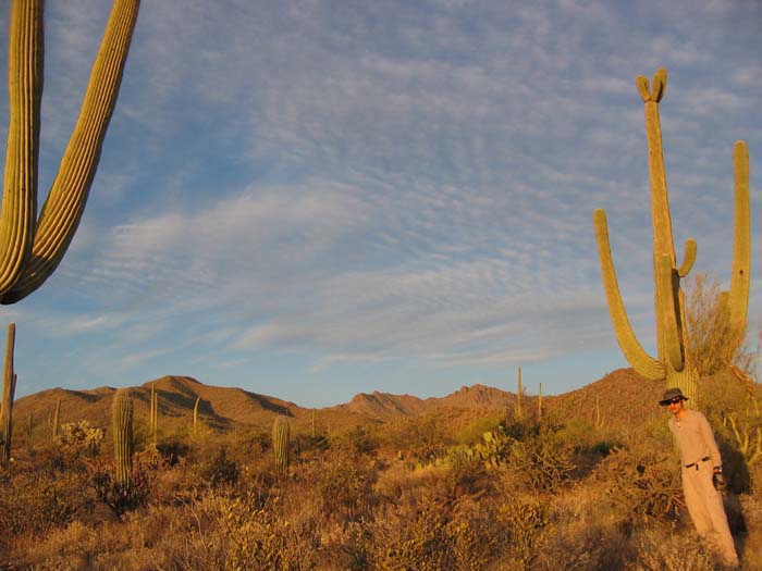 14 miles north-west of downtown Tucson, in the Saguaro National Park (West), facing East. Dwarfed in size and age by the majestic and elderly Saguaro cactus. (Click here to find out where I'm standing with respect to metro Tucson). 