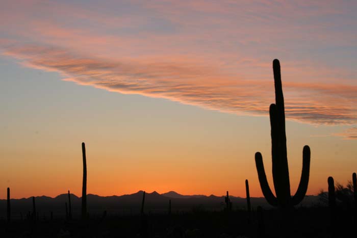 2006-04-07: 14 miles north-west of downtown Tucson, in the Saguaro National Park (West), facing East. An Arizona sunset.