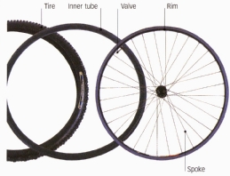 Parts of a wheel