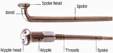 Parts of a wheel