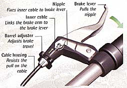 Components of a Brake Lever