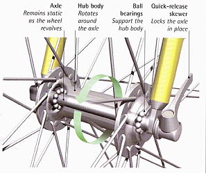 Components of an Open-Bearing Front Hub: Axle: Remains static as the wheel revolves; Hub body: Rotates around the axle; Ball bearings: Support the hub body; Quick-release skewer: Locks the axle.