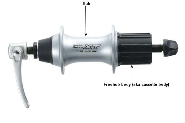 hub and freehub body