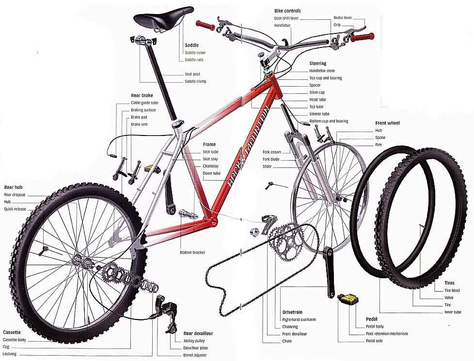 Mountain best sale bike anatomy