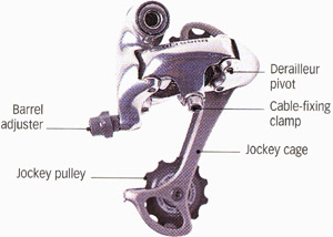 Parts of a rear derailleur: Derailleur pivot Cable-fixing clamp, Jockey cage, Barrel adjuster, Jockey pulley