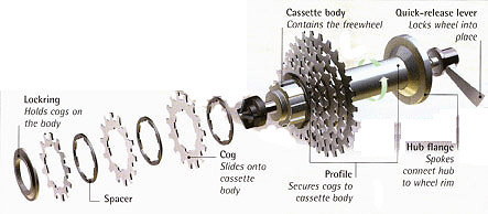 Lockring: Holds cogs on the body; Cassette body: contains the freewheel; Quick-release lever: locks wheel into place; Spacer; Cog: slides onto cassette body; Hub flange: spokes connect hub to wheel rim.