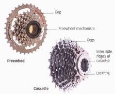 a freewheel and a cassette