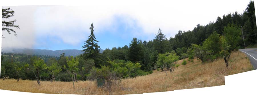 image: 2004-06-30: Panoramic view from the corner of San Jose Soquel Road (right) and Miller Hill Cutoff (behind camera) in Los Gatos, California. The camera is facing east. This panorma is comprised of five (5) separate 
        images stitched together in Pano Tools Assembler and, then, touched up 
        in Adobe Photoshop Elements
