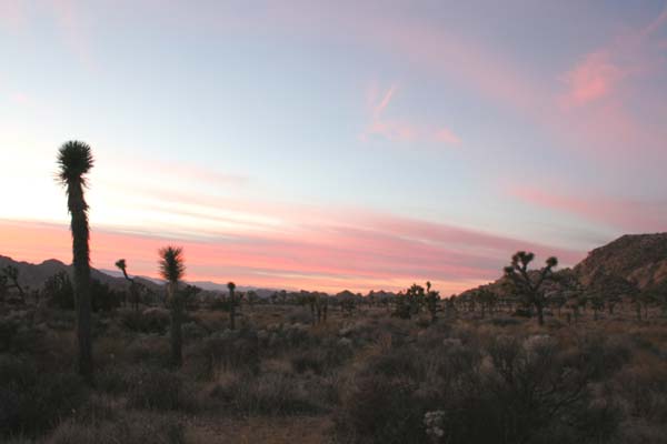 Sunset near Ryan Mountain, facing (north-west) Hall-of-Horrors rock pile